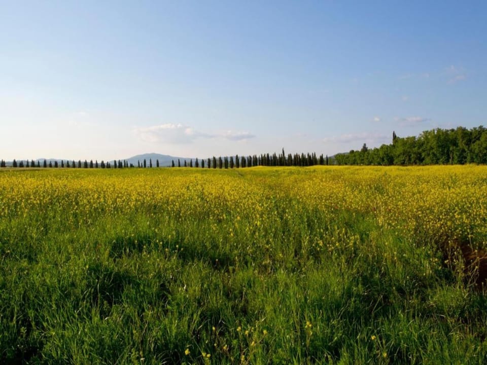 Region [summer] (>5 km)