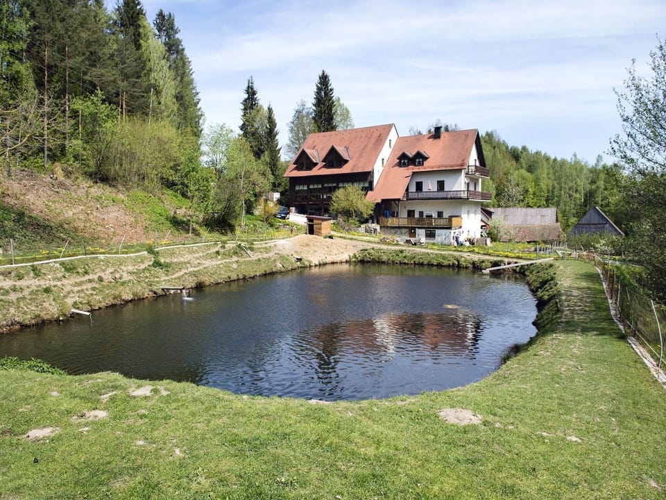 Holiday Home Exterior [summer]