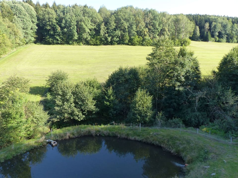 View from Holiday Home [summer]