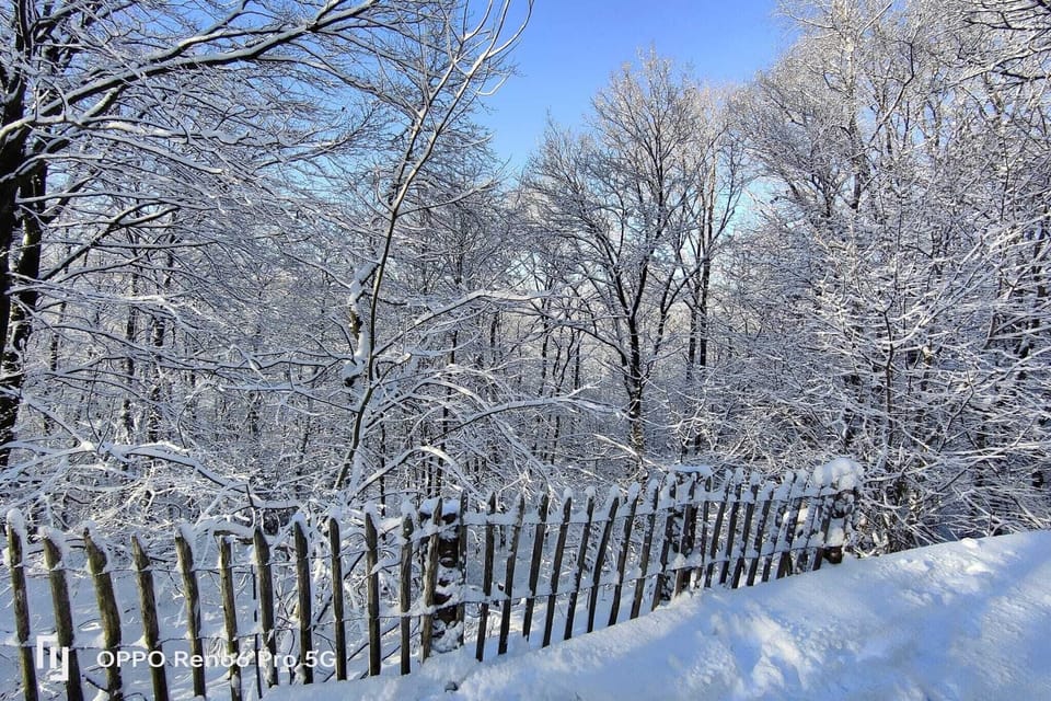 Immediate Surroundings [winter] (<1 km)