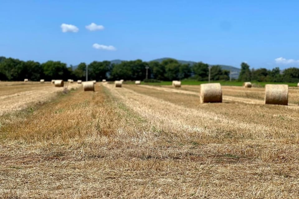 Surroundings [summer] (1-5 km)