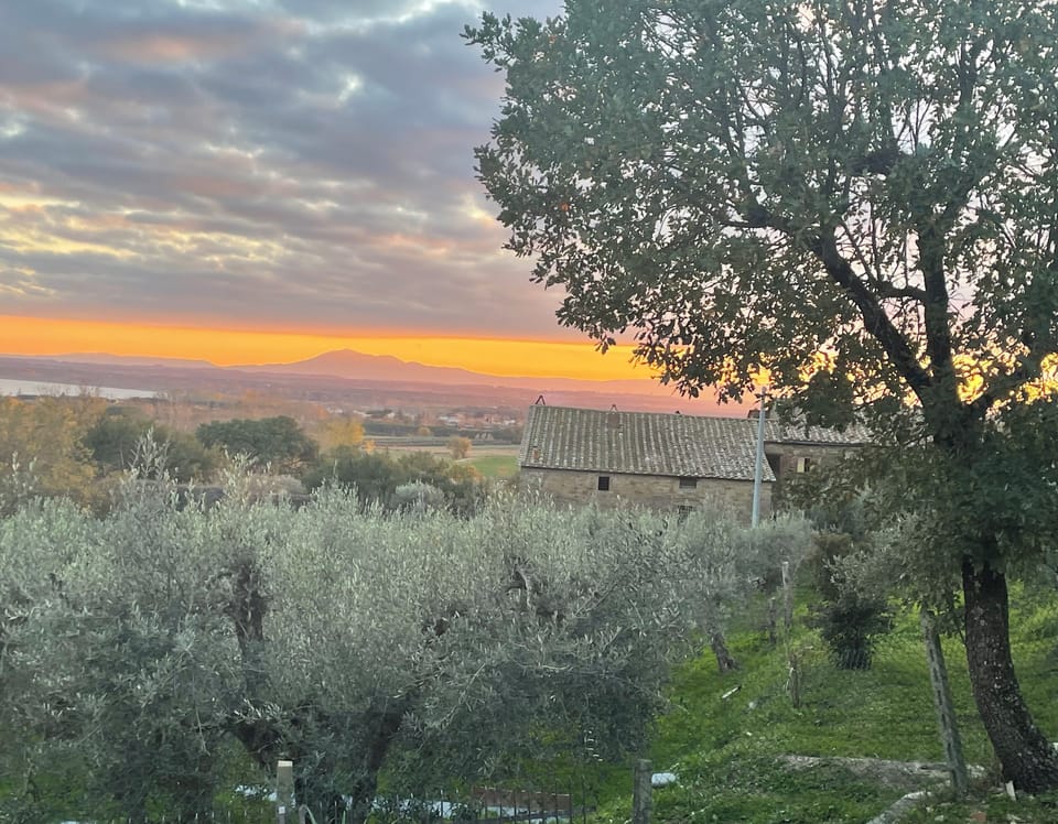 Breathtaking view from the front porch of the sun setting over the olive groves