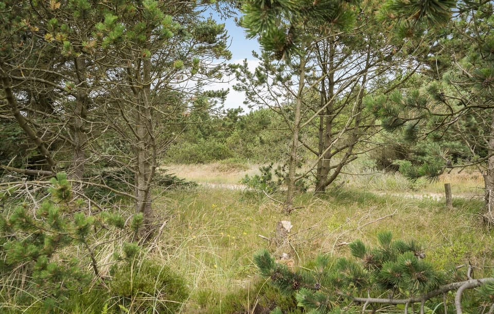 area