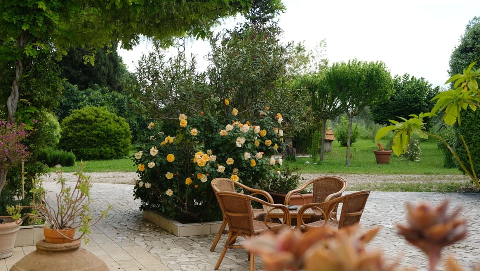 Terrace/patio