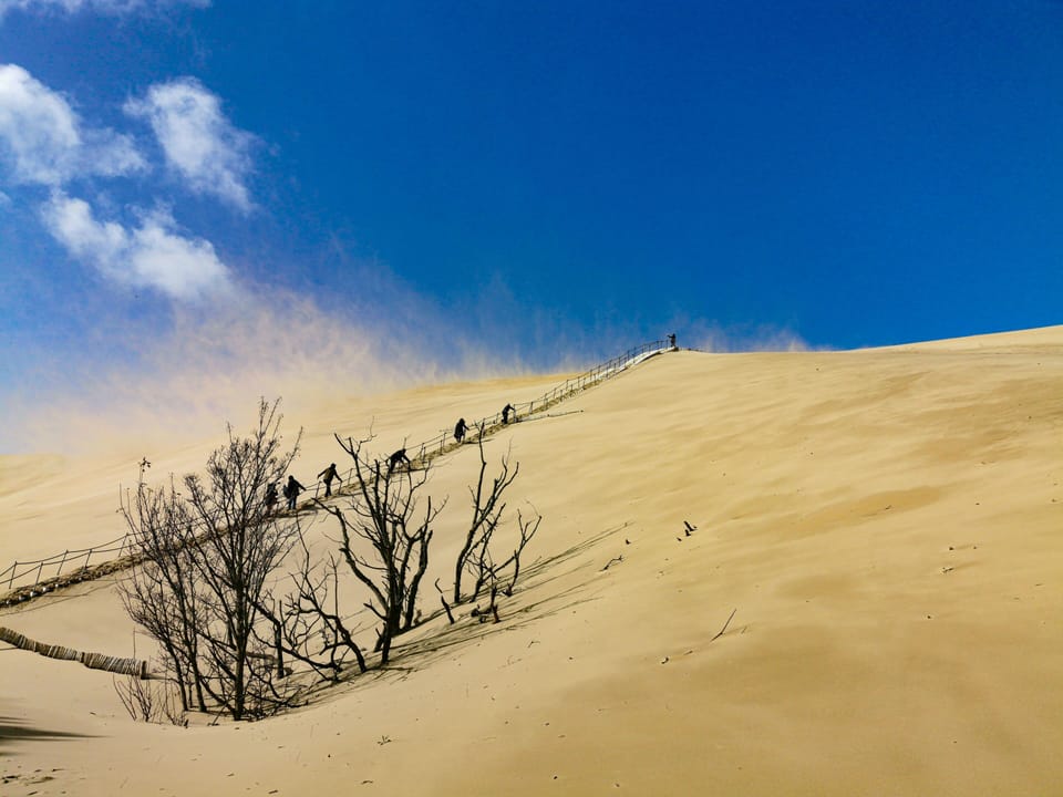 Climb the Dune du Pilat, the tallest sand dune in Europe, for a breathtaking view of the surrounding landscape. 
