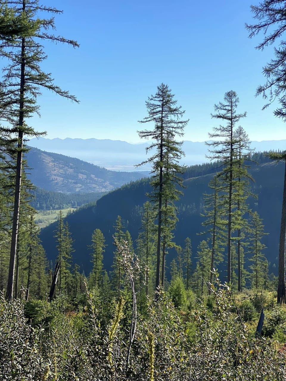 Gorgeous views from the cross-country ski turn off on Blacktail Road just a few miles up from the cabins-hiking trails galore.