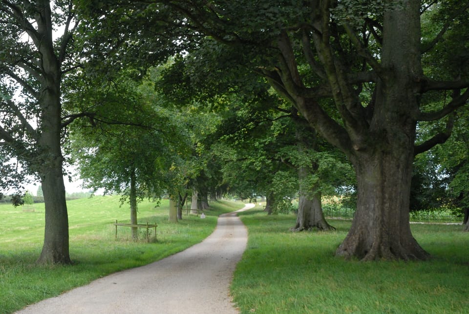 Surrounding Parkland