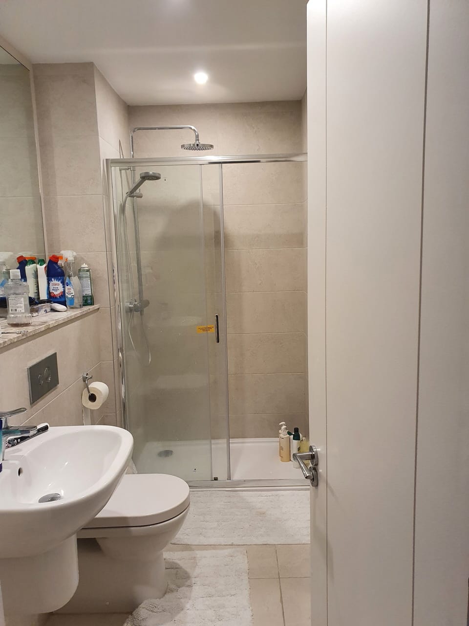 Ensuite bathroom. Toilet, sink and shower