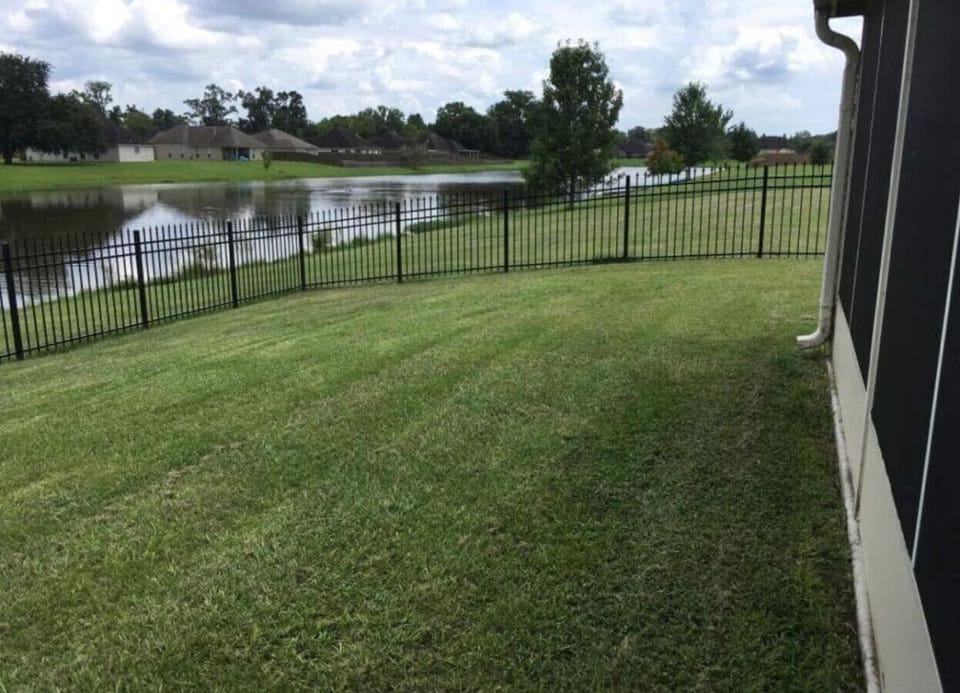 Lake view