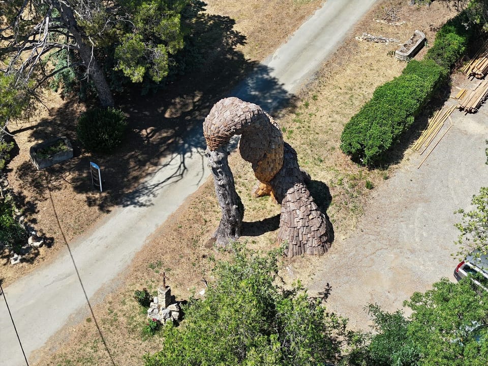 Aerial view