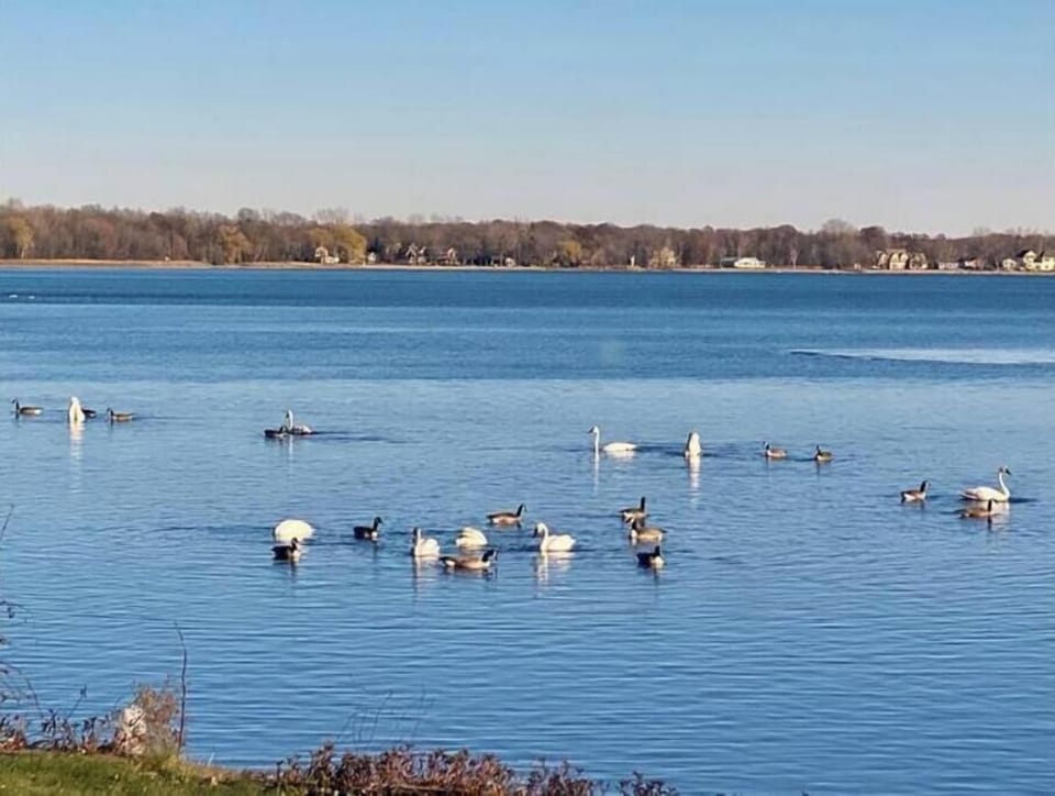 Lots of wildlife call Lake George home.