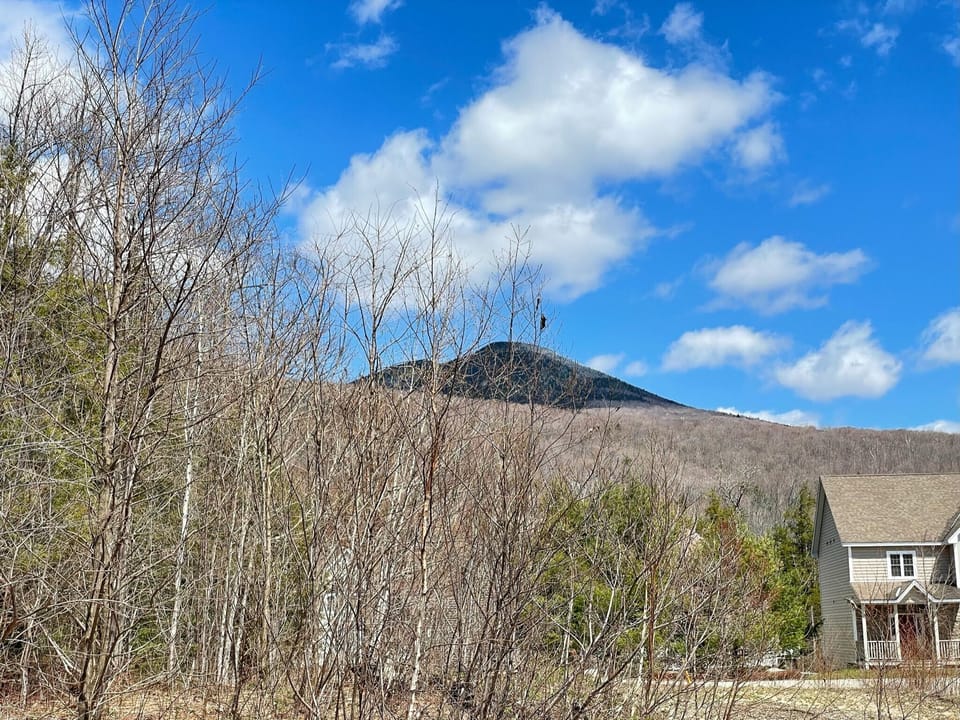 View from back deck