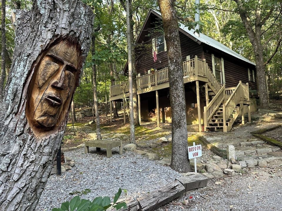 Bird`s Eye View - where trees talk, birds sing, deer roam.