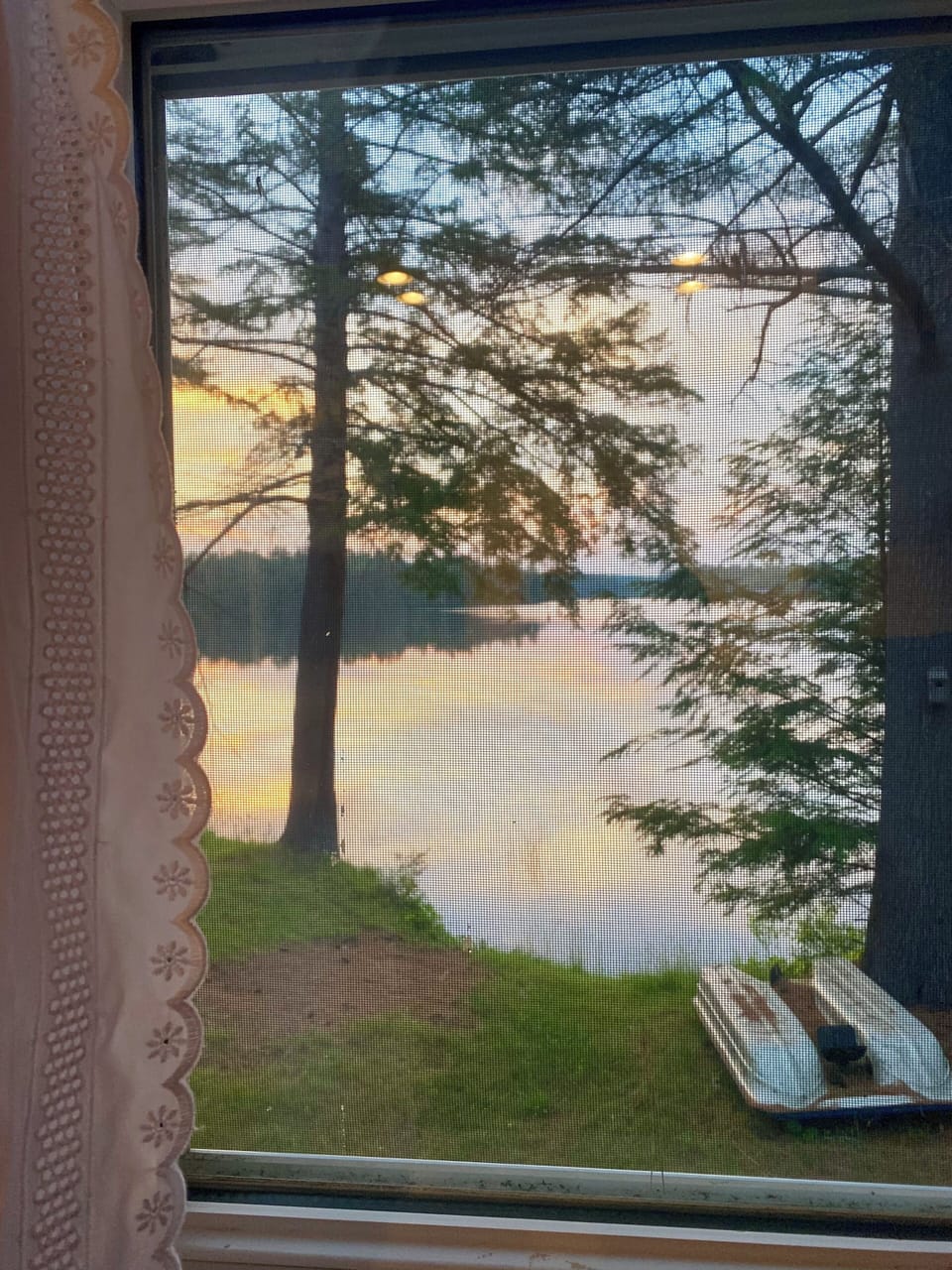 The view outside the living room window.