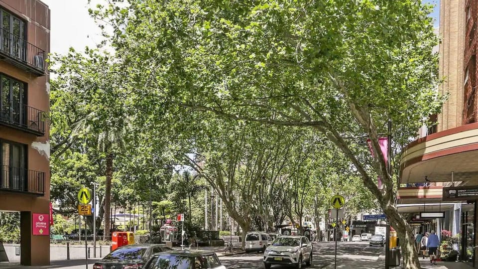 Gorgeous views of tree-lined streets and art deco architecture.