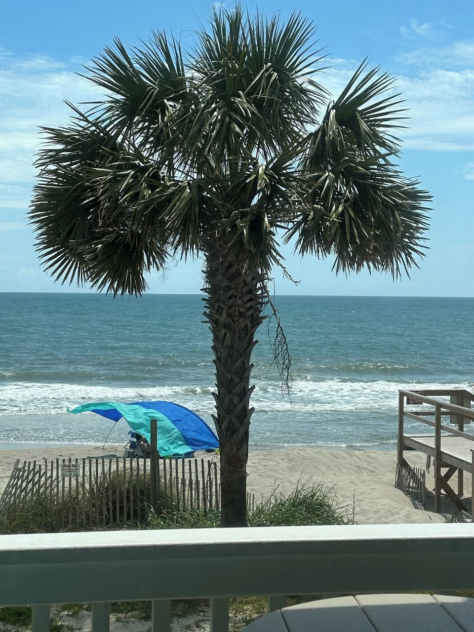 Steps to the sand! Look for the dolphins, pelicans, and build a sand castle. 