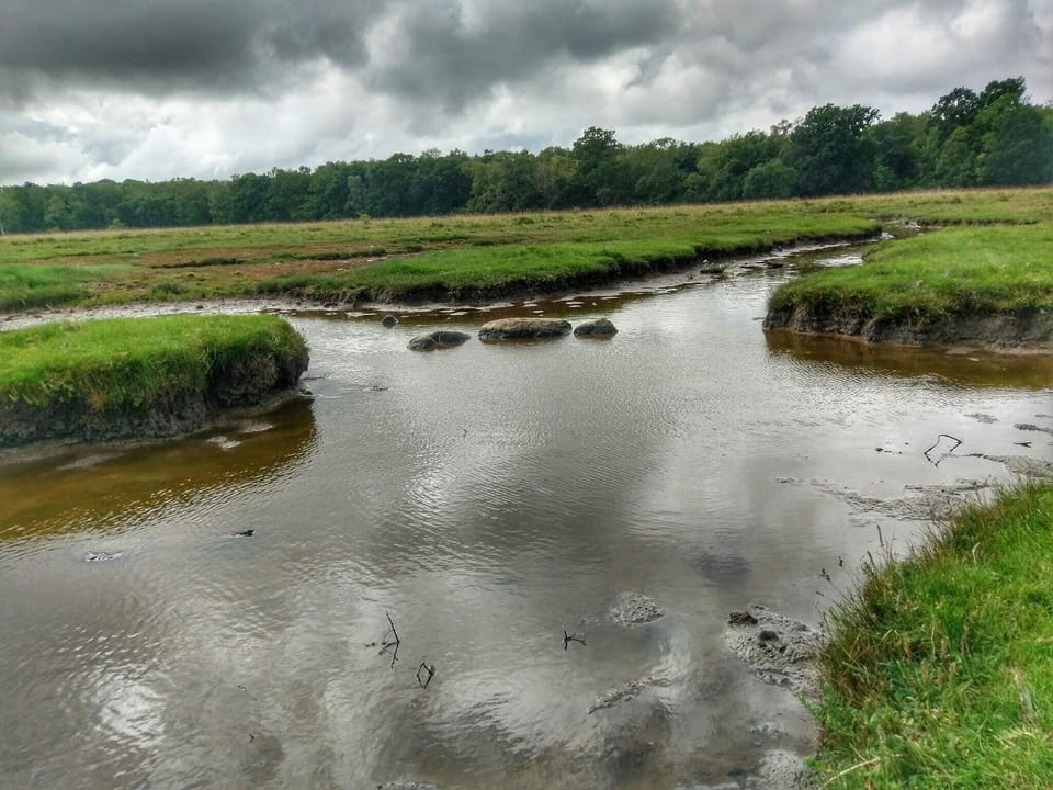 Water view