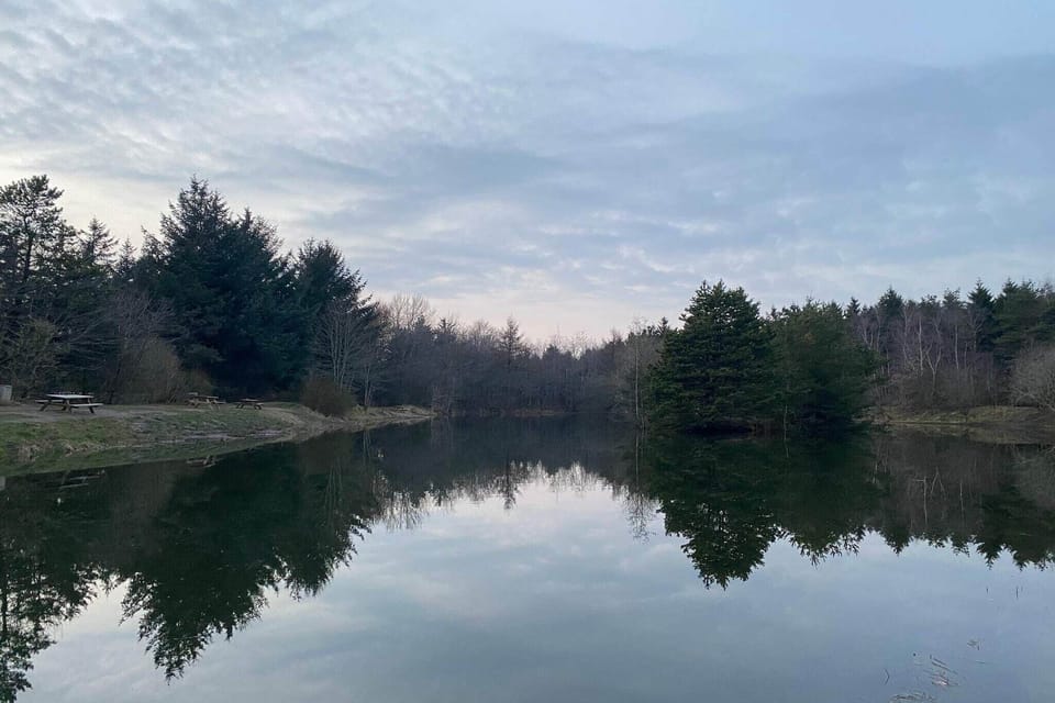 Water view