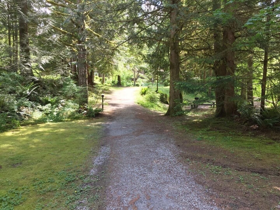 Outdoors, Vegetation, Nature, Path, Trail