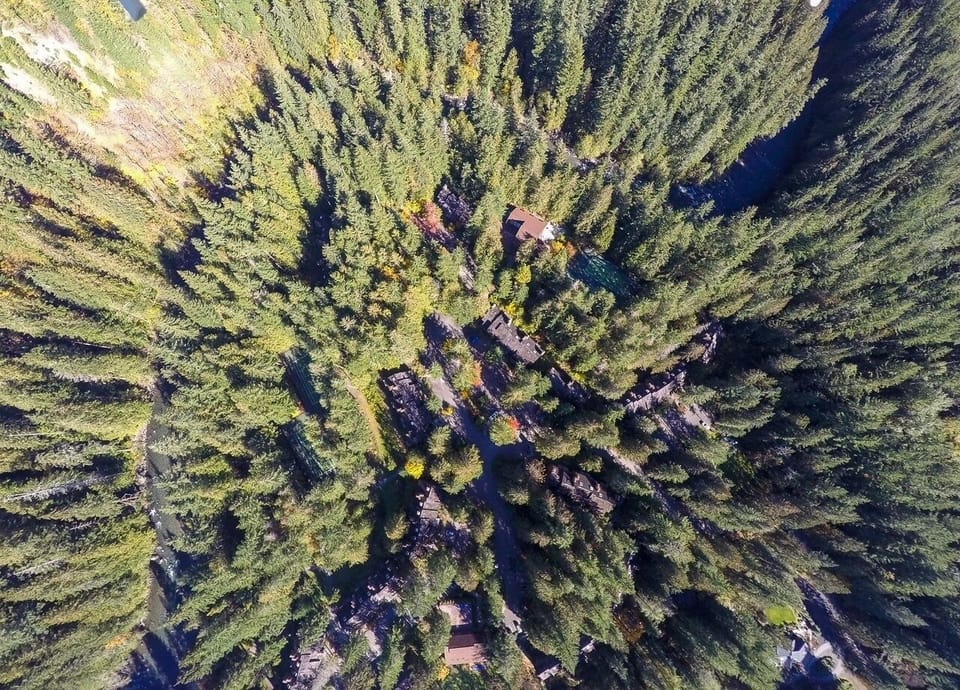 Land, Nature, Outdoors, Tree, Vegetation