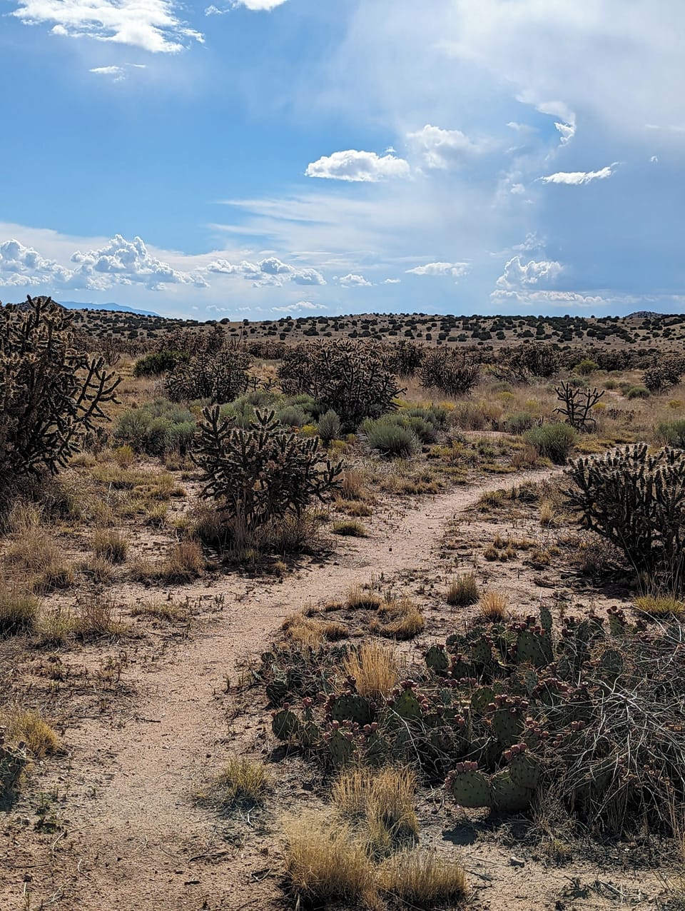 Path to hikes, river and petroglyphs