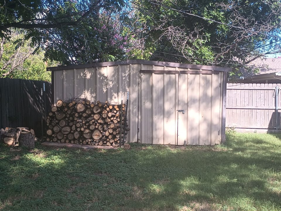 Back yard