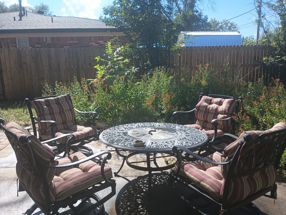 Back patio