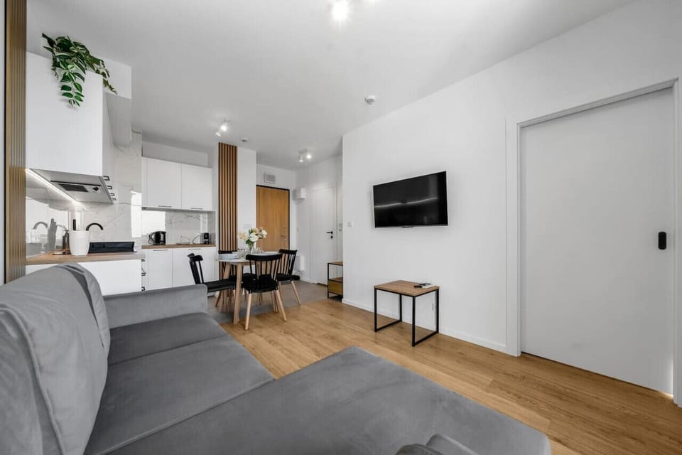 Comfortable Living Room with Sofa Bed and Smart TV | Book Now with RENTUJEMY