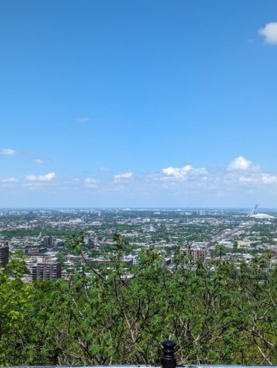 View from property