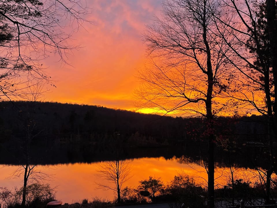 From the deck