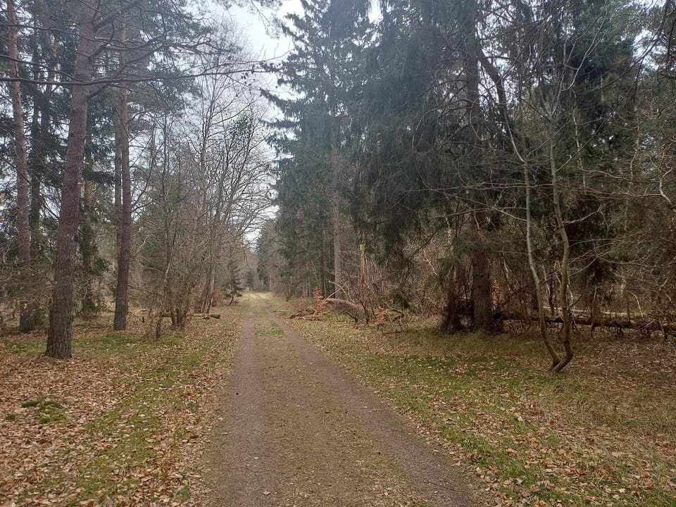 Miscellaneous
