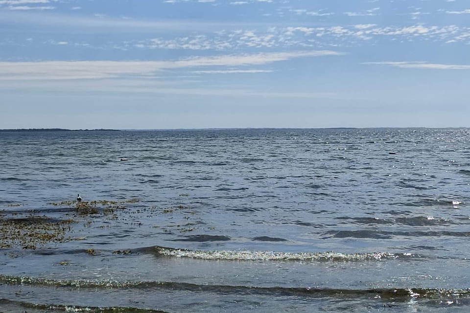 Water view
