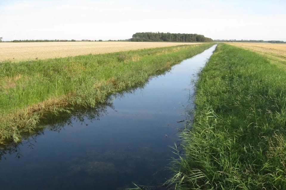 Water view