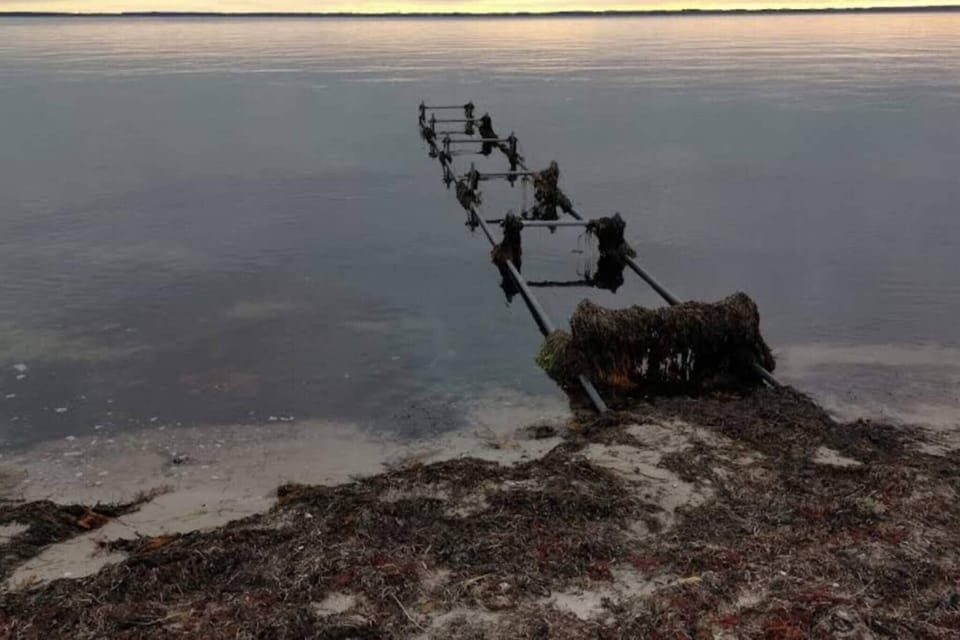 Water view