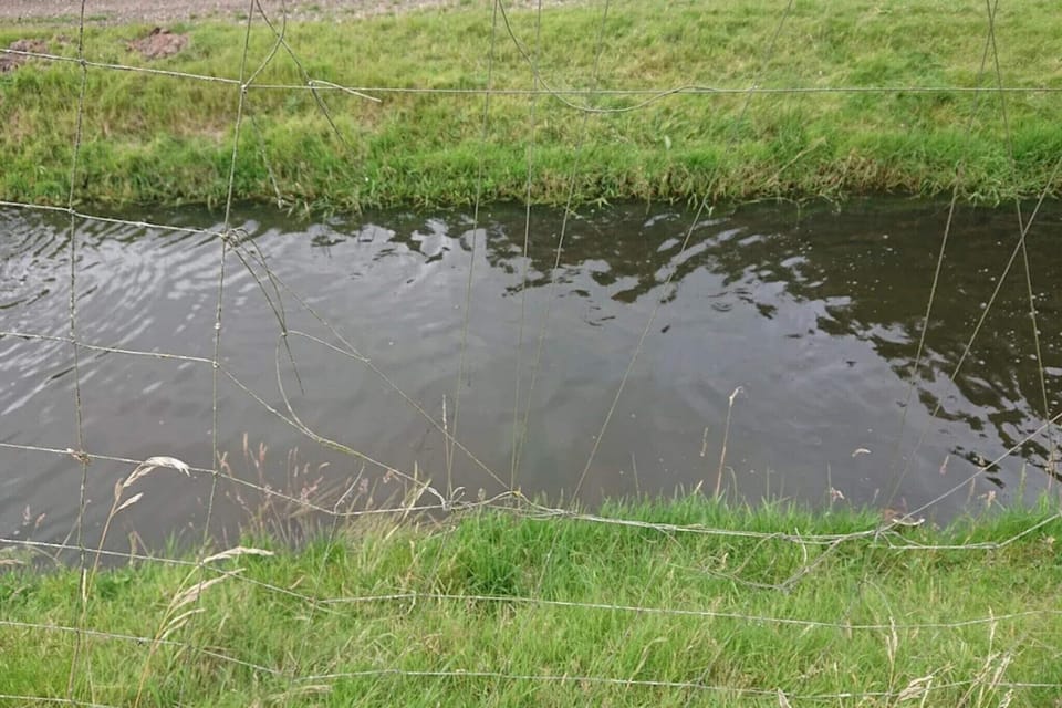 Water view