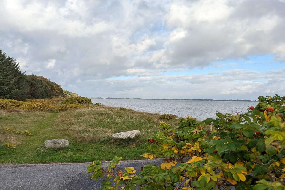 Water view