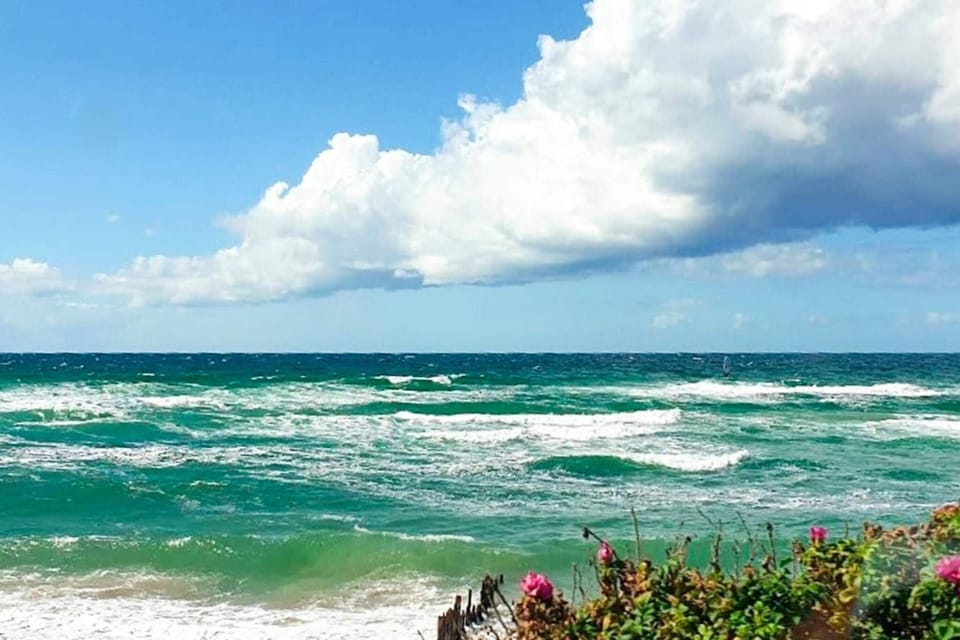Water view