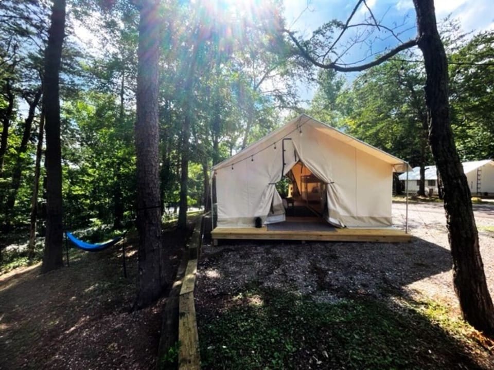 7c7df179-2bc5-4727-bf06-85379a18d1f1