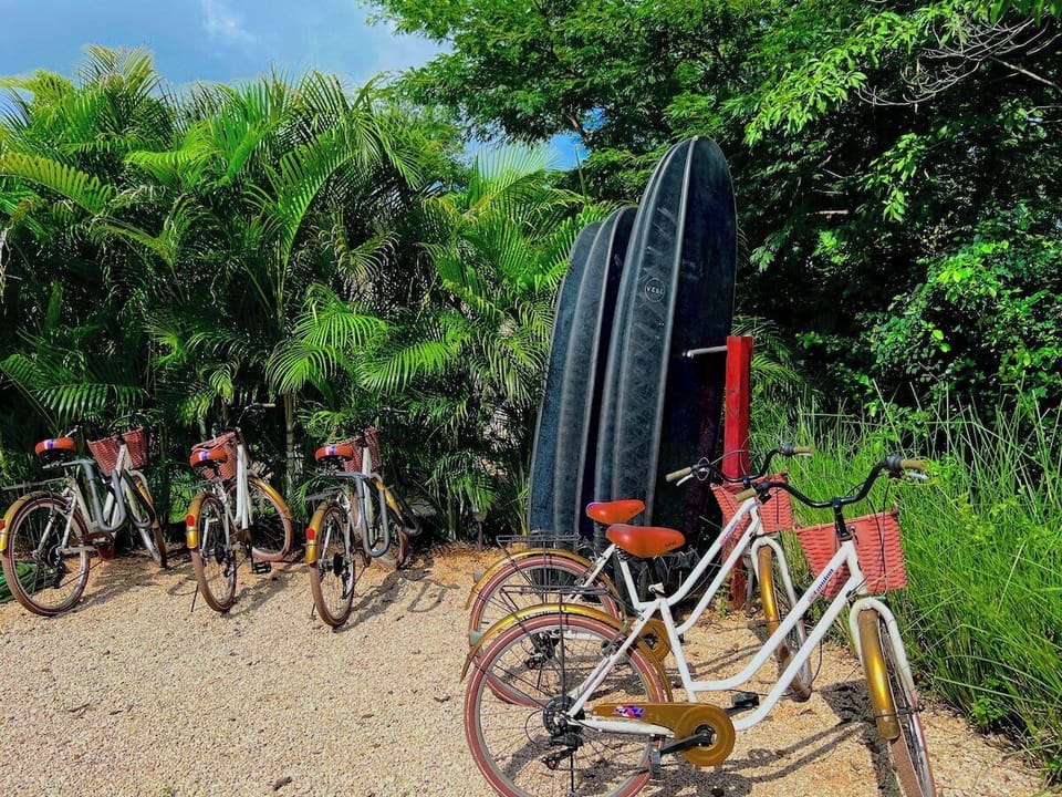 Villa Luna · Lush Jungle Villa near the Beach (2011)