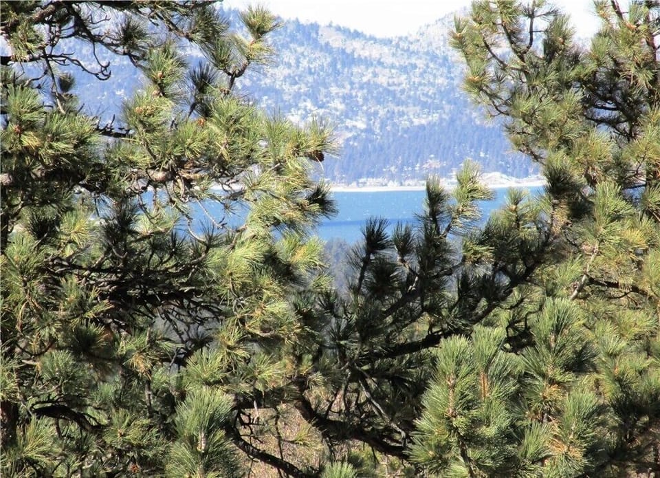 Peak-a-boo lake view