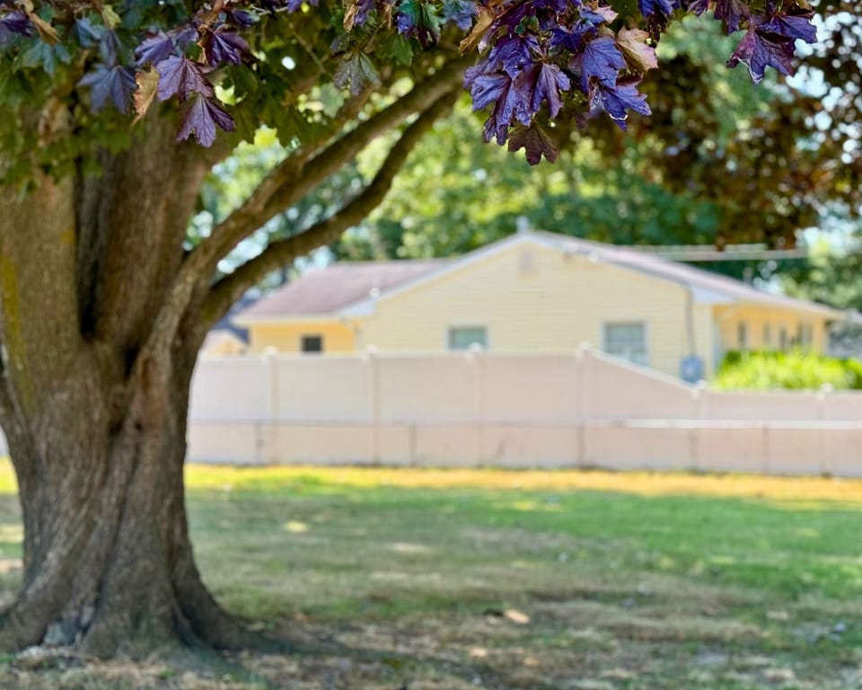 Spacious, fenced-in backyard
