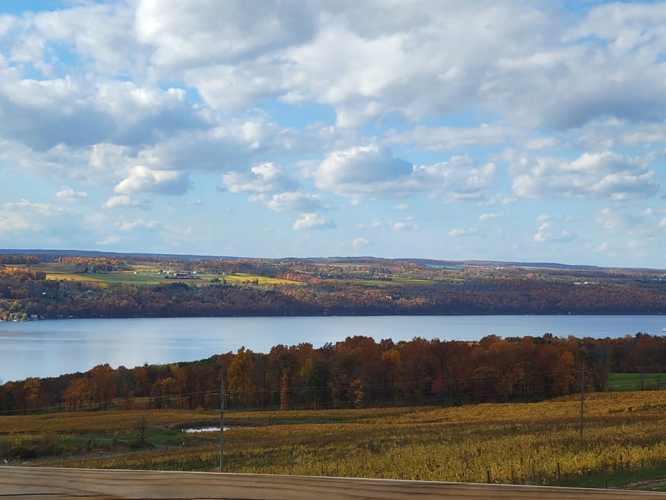 View from property