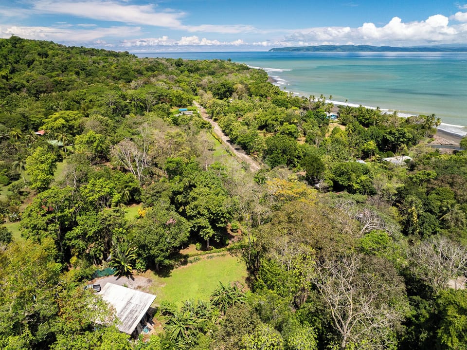 You can see the house surrounded by the jungle.Only 5 minute walk to the beach