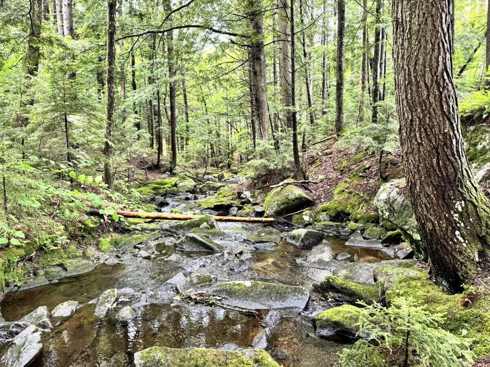 Stream on the property