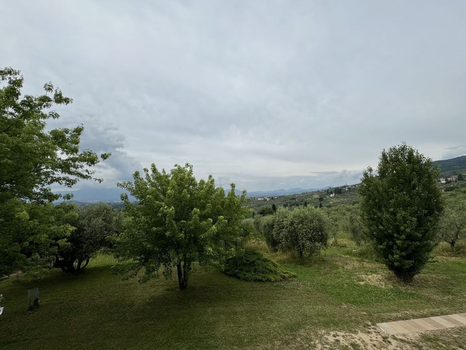 Cloud, Sky, Plant, Plant Community, Natural Landscape, Tree, Grass, Plain, Grassland, Landscape