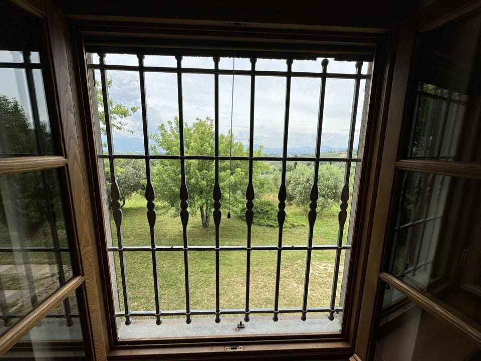 Building, Property, Plant, Sky, Wood, Window, Wall, Tree, Shade