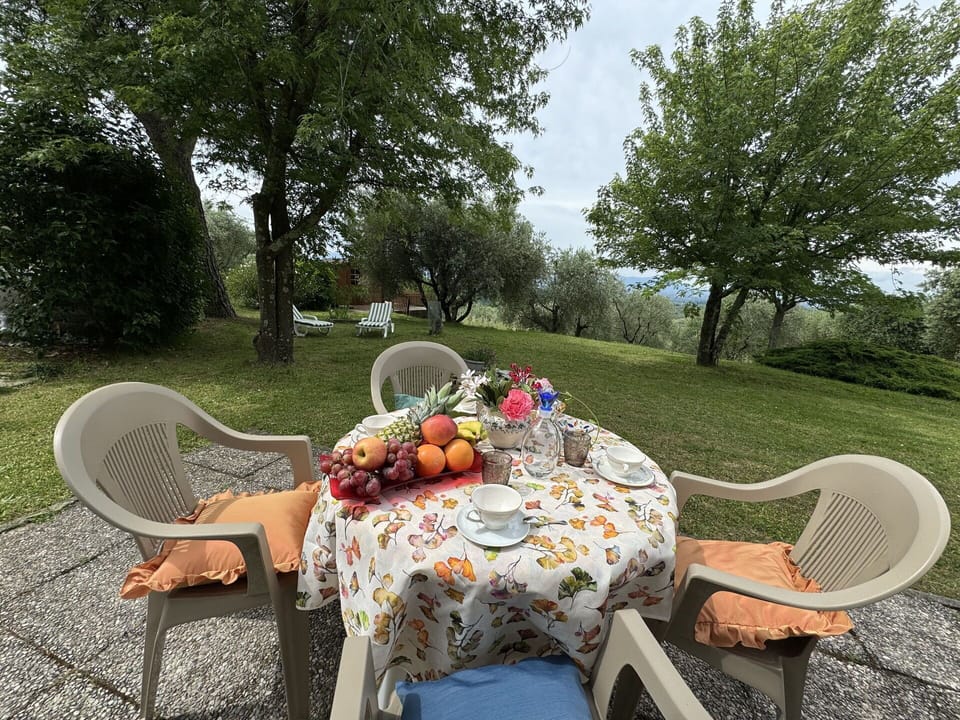 Table, Plant, Furniture, Property, Chair, Outdoor Table, Tableware, Tree, Outdoor Furniture, Natural Landscape