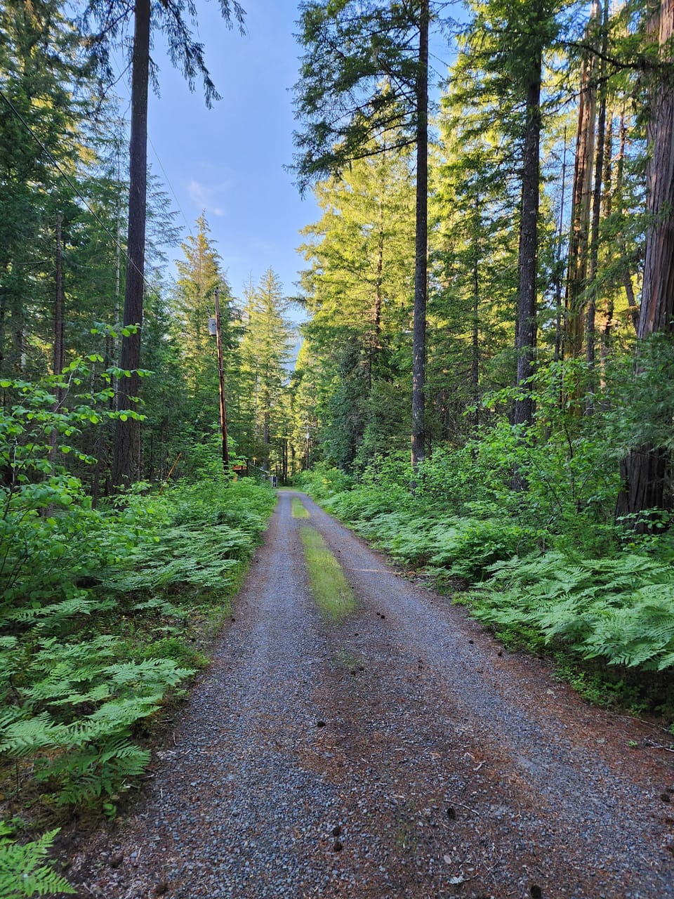 The driveway... come on back!
