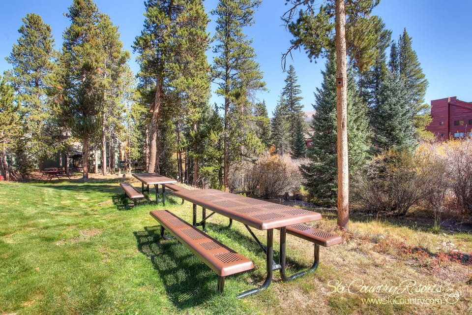 Outdoor picnic area