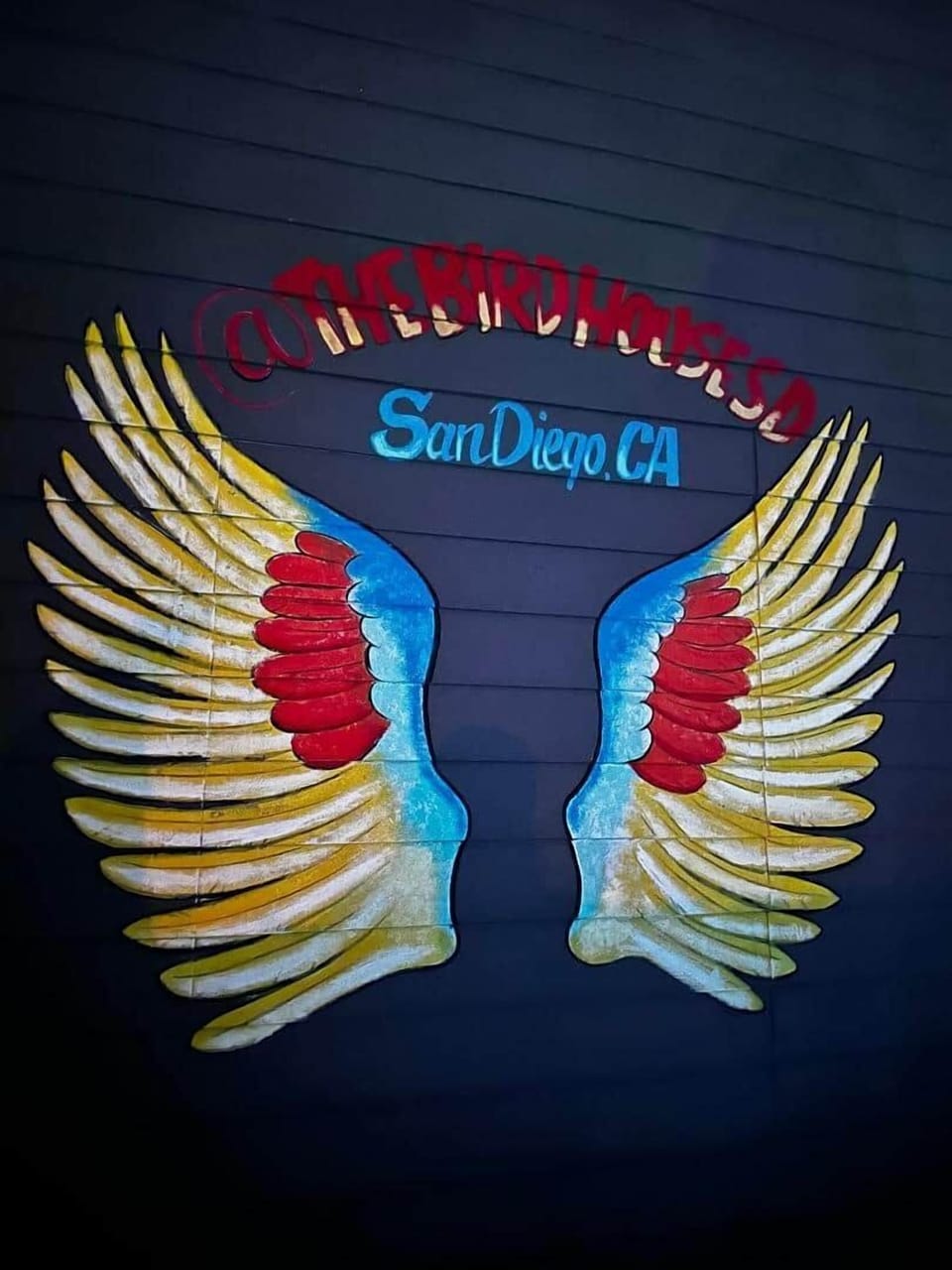 Colorful and fun wall art at The Birdhouse SD! This custom mural makes the perfect photo backdrop — capture your wings and share your stay in sunny San Diego.